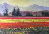 Spring Blooms